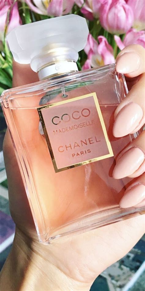 chanel tutti i profumi|chanel coco perfume best price.